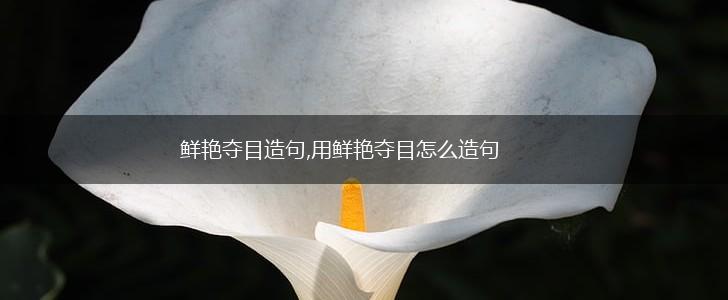 鲜艳夺目造句,用鲜艳夺目怎么造句,第1张