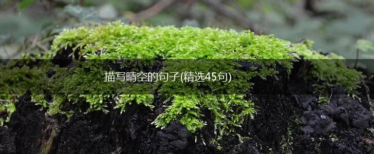 描写晴空的句子(精选45句),第1张