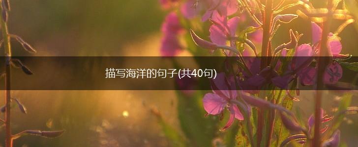 描写海洋的句子(共40句),第1张