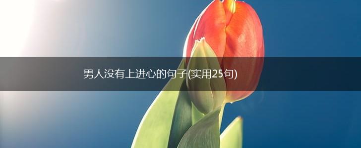 男人没有上进心的句子(实用25句),第1张