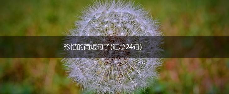 珍惜的简短句子(汇总24句),第1张