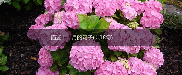 描述十一月的句子(共18句),第1张