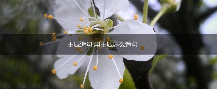 王城造句,用王城怎么造句,第1张