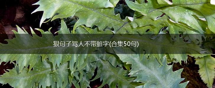 狠句子骂人不带脏字(合集50句),第1张