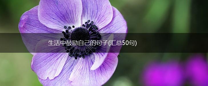 生活中鼓励自己的句子(汇总50句),第1张