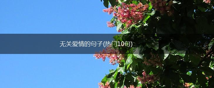 无关爱情的句子(热门10句),第1张