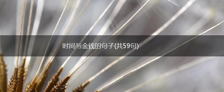 时间与金钱的句子(共59句),第1张