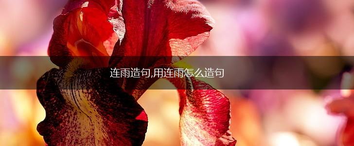 连雨造句,用连雨怎么造句,第1张
