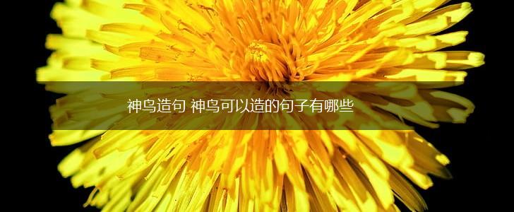 神鸟造句 神鸟可以造的句子有哪些,第1张