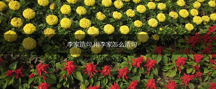 李家造句,用李家怎么造句,第1张