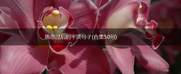 热恋过后的平淡句子(合集50句),第1张
