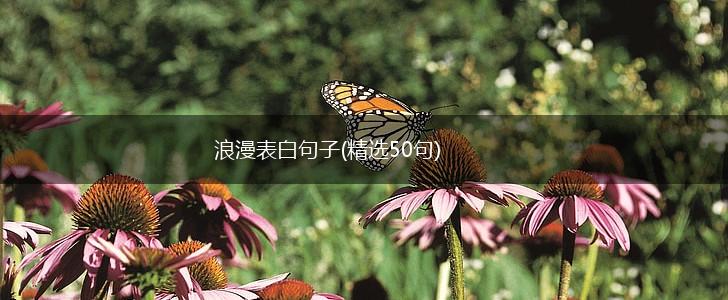 浪漫表白句子(精选50句),第1张