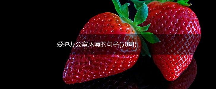 爱护办公室环境的句子(50句),第1张