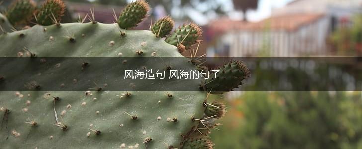 风海造句 风海的句子,第1张