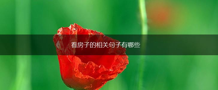 看房子的相关句子有哪些,第1张