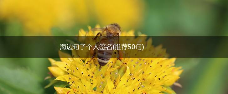 海边句子个人签名(推荐50句),第1张