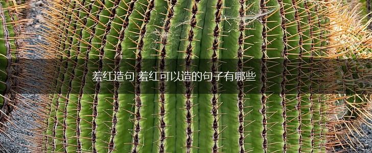 羞红造句 羞红可以造的句子有哪些,第1张