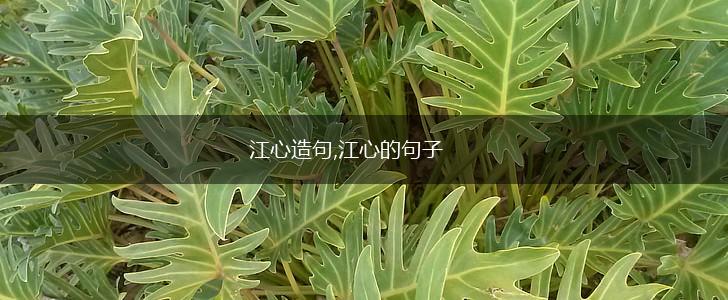 江心造句,江心的句子,第1张
