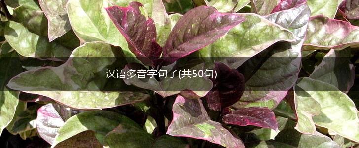 汉语多音字句子(共50句),第1张