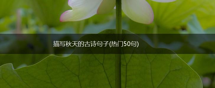 描写秋天的古诗句子(热门50句),第1张