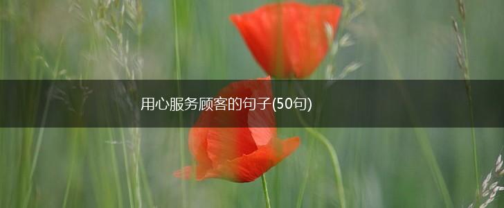 用心服务顾客的句子(50句),第1张