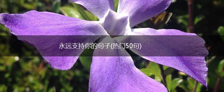 永远支持你的句子(热门50句),第1张