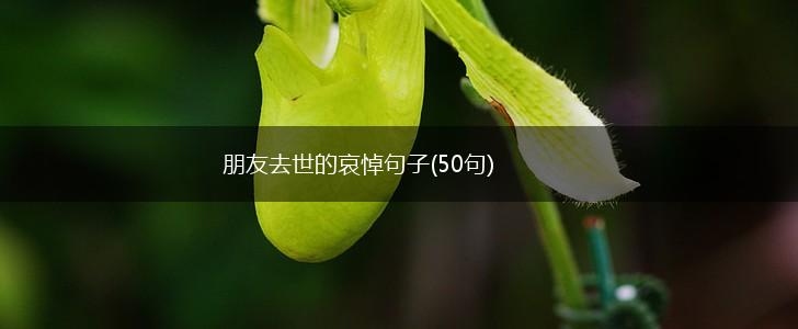 朋友去世的哀悼句子(50句),第1张