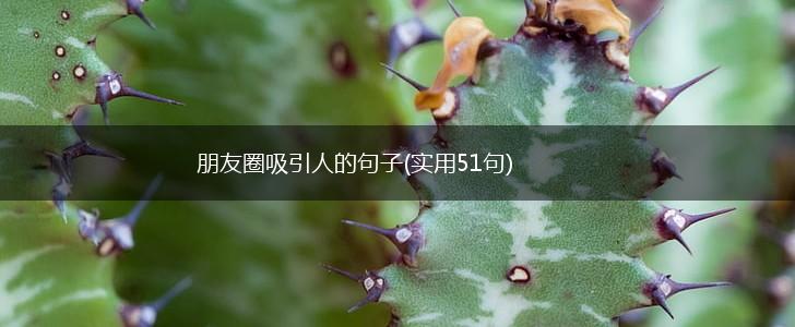 朋友圈吸引人的句子(实用51句),第1张