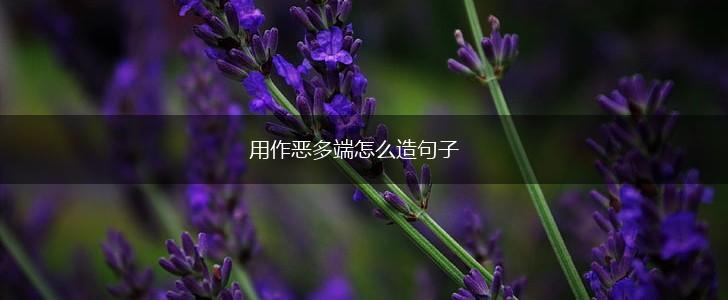 用作恶多端怎么造句子,第1张