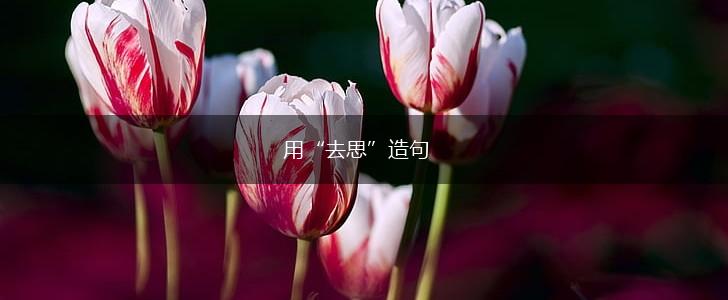 用“去思”造句,第1张