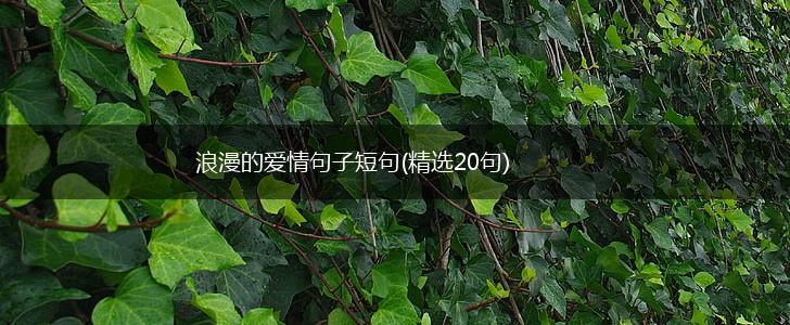 浪漫的爱情句子短句(精选20句),第1张