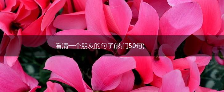 看清一个朋友的句子(热门50句),第1张