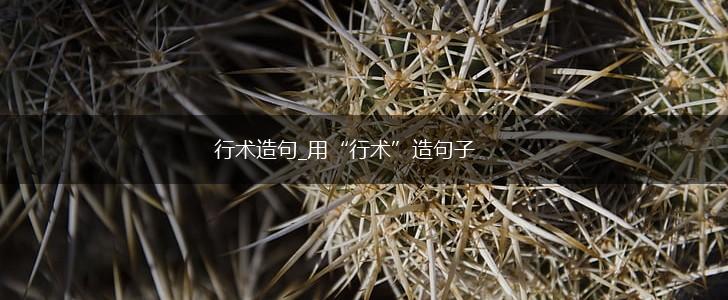 行术造句_用“行术”造句子,第1张