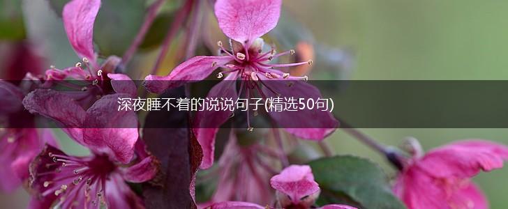 深夜睡不着的说说句子(精选50句),第1张