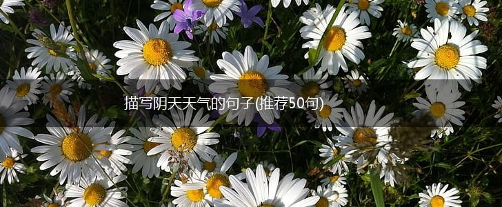 描写阴天天气的句子(推荐50句),第1张