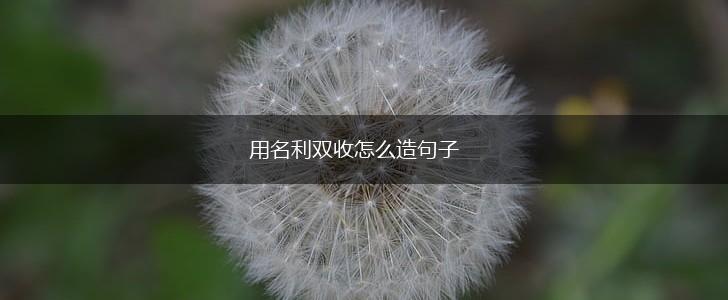 用名利双收怎么造句子,第1张