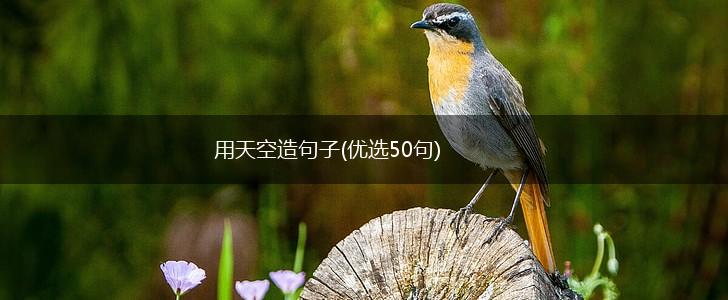 用天空造句子(优选50句),第1张
