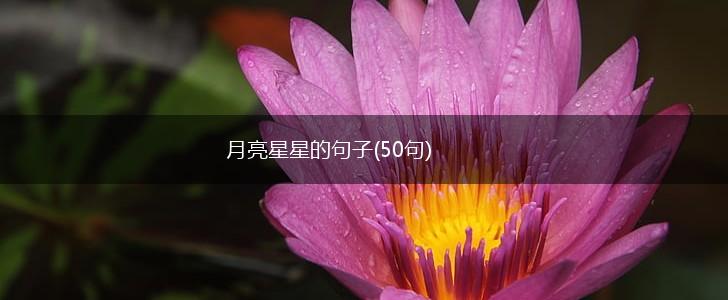 月亮星星的句子(50句),第1张