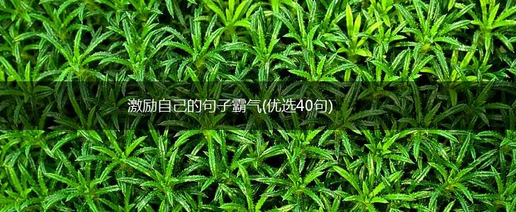 激励自己的句子霸气(优选40句),第1张
