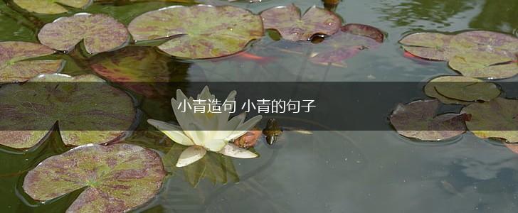 小青造句 小青的句子,第1张