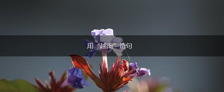 用“越南”造句,第1张