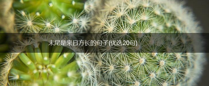 末尾是来日方长的句子(优选20句),第1张