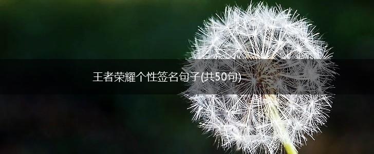王者荣耀个性签名句子(共50句),第1张