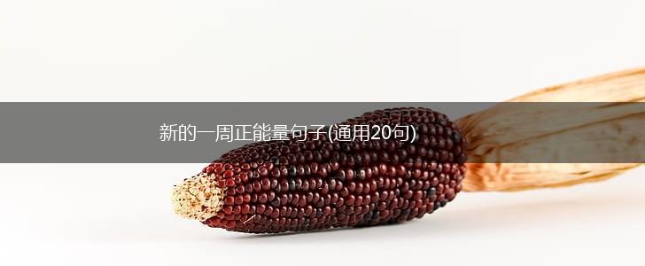 新的一周正能量句子(通用20句),第1张