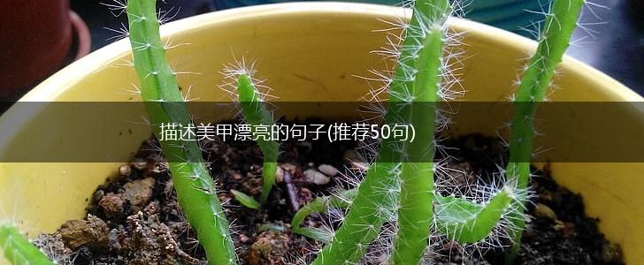 描述美甲漂亮的句子(推荐50句),第1张