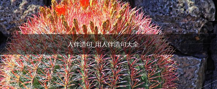 人伴造句_用人伴造句大全,第1张