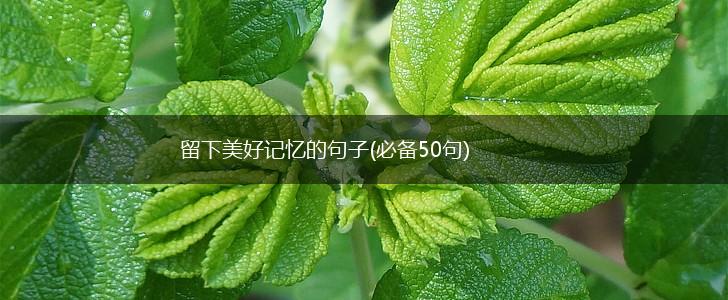 留下美好记忆的句子(必备50句),第1张