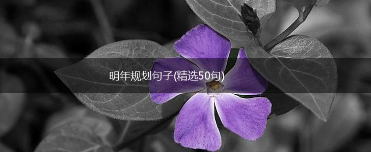 明年规划句子(精选50句),第1张