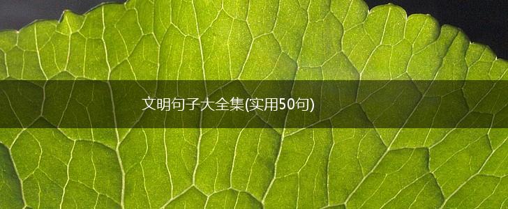 文明句子大全集(实用50句),第1张