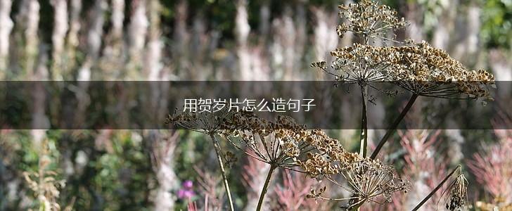 用贺岁片怎么造句子,第1张